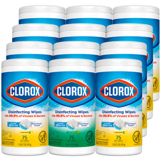CLOROX COMMERCIAL SOLUTIONS DISINFECTING WIPES HCH 30208