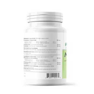 Magnesium Pro | Maximum Absorption with Calcium and B6, 450mg 90 CT